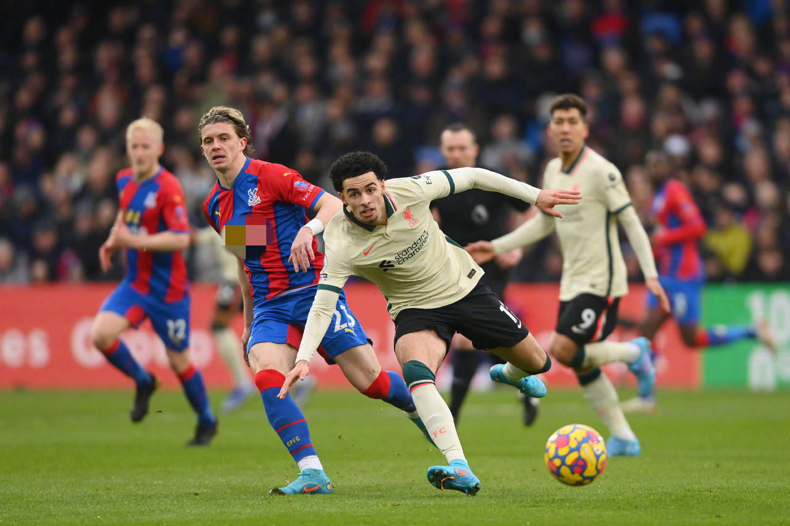 经常能够制 经常能够制